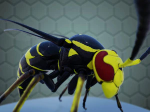 wasp 3D Model
