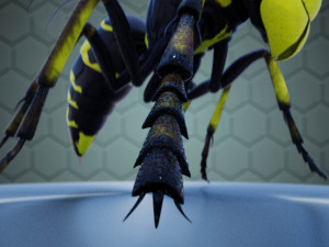 wasp 3D Model