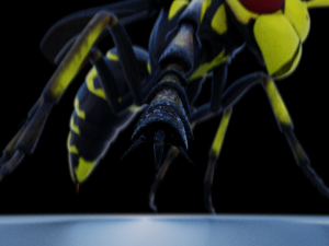 wasp 3D Model