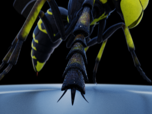 wasp 3D Model