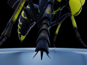 wasp 3D Model