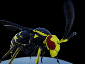 wasp 3D Model