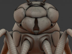 wasp 3D Model