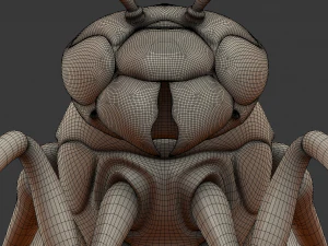 wasp 3D Model