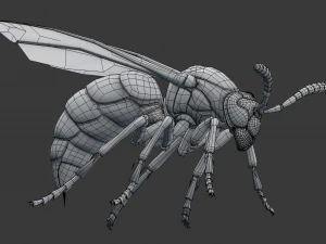 wasp 3D Model