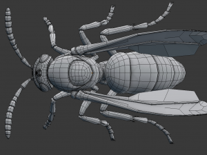 wasp 3D Model