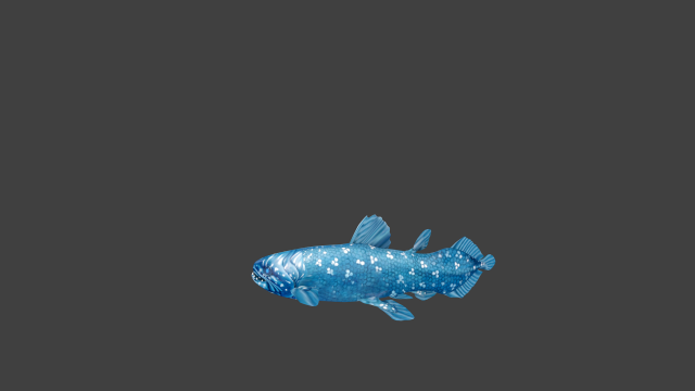 coelacanth deep sea 3D Model .c4d .max .obj .3ds .fbx .stl .blend