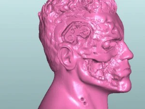 the terminator 3D Print Model
