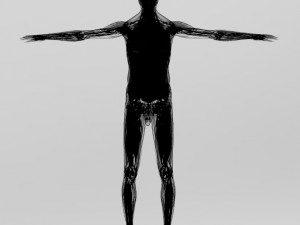 human anatomy complete 3D 모델