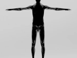 human anatomy complete 3D Model