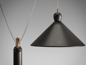 ogilvy rise and fall pendant 3D 模型
