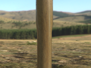 german grenade m24 3D Model