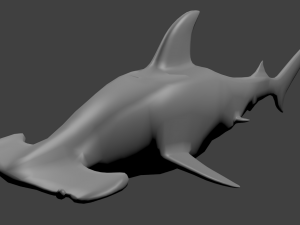 hammerhead shark 3D-Modell