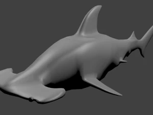 Hammerhai 3D Modell