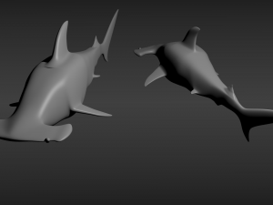 hammerhead shark 3D Model