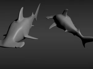 hammerhead shark 3D Model