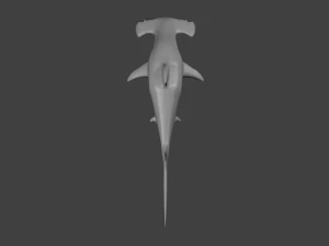 hammerhead shark 3D Model