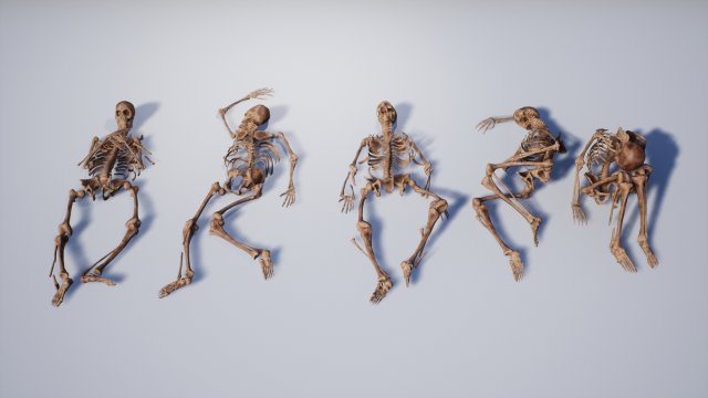 lowpoly pbr human skeleton remains pack Model 3D .c4d .max .obj .3ds .fbx .stl .blend 