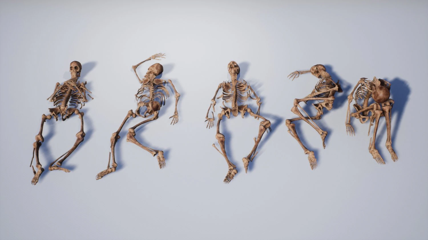 lowpoly pbr human skeleton remains pack 3D Model .c4d .max .obj .3ds .fbx .stl .blend