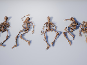 lowpoly pbr human skeleton remains pack 3D मॉडल