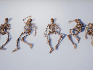lowpoly pbr human skeleton remains pack 3D Model