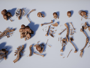 lowpoly pbr human skeleton remains pack Model 3D