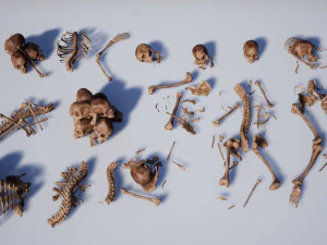 lowpoly pbr human skeleton remains pack 3D Model