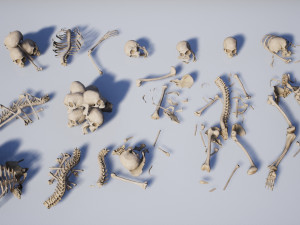 lowpoly pbr human skeleton remains pack Model 3D