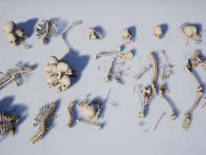 lowpoly pbr human skeleton remains pack 3D Model