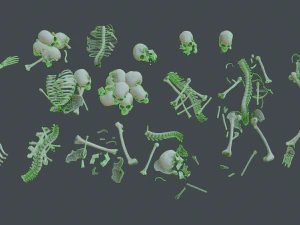 lowpoly pbr human skeleton remains pack 3D Model