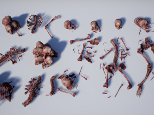 lowpoly pbr human skeleton remains pack Model 3D
