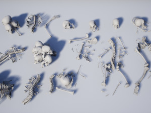 lowpoly pbr human skeleton remains pack Model 3D