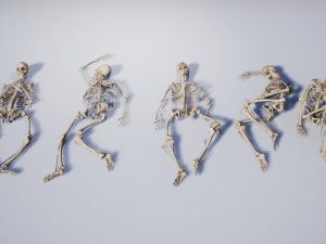 lowpoly pbr human skeleton remains pack Model 3D