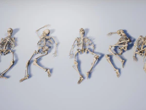 lowpoly pbr human skeleton remains pack 3D Model