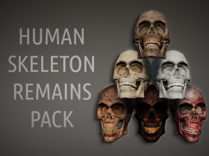 lowpoly pbr human skeleton remains pack Model 3D