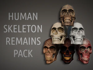 lowpoly pbr human skeleton remains pack 3D Model