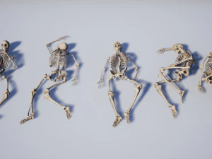 lowpoly pbr human skeleton remains pack 3D Model