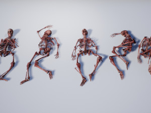 lowpoly pbr human skeleton remains pack Model 3D