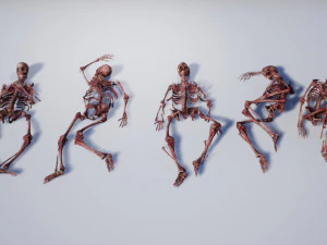 lowpoly pbr human skeleton remains pack 3D Model