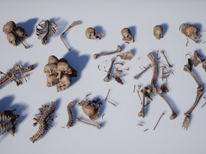 lowpoly pbr human skeleton remains pack Model 3D