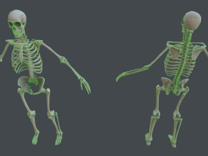lowpoly pbr human skeleton remains pack Model 3D