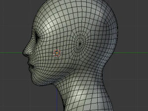 head 3D Model