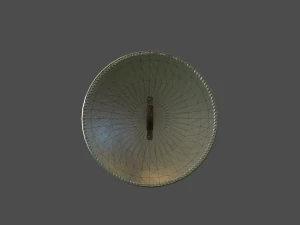 gladiator shield 3D Model