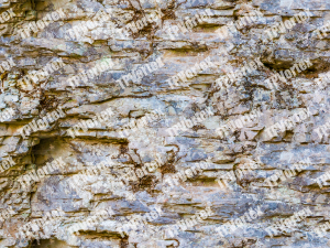 rocky surface04 CG Textures