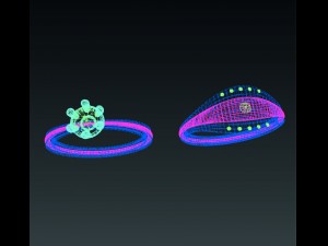 ring gold two Model 3D