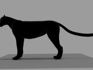 black panther 3D Model