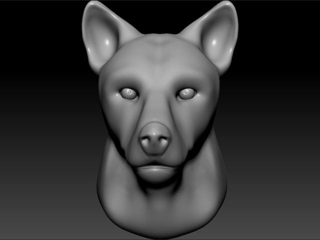 Download wolf head 3D Model