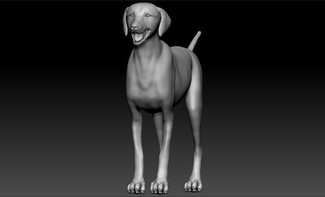 golden retriever dog canis lupus familiaris 3Dモデル .c4d .max .obj .3ds .fbx .stl .blend 