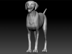 golden retriever dog canis lupus familiaris 3D Model