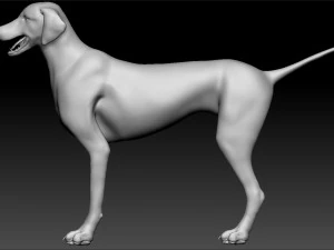 golden retriever dog canis lupus familiaris 3D Model